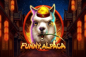 Funny Alpaca