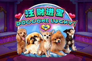 Doggone Lucky