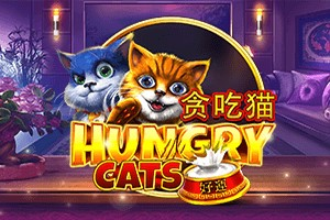 Hungry Cats