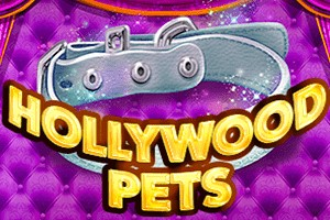 Hollywood Pets
