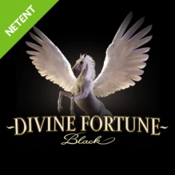 Divine Fortune Black