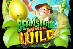 Beanstalk Grows Wild