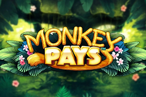 Monkey Pays