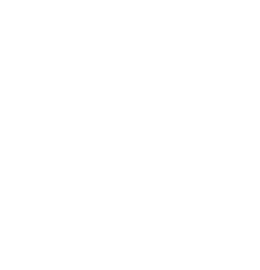 DragoonSoft
