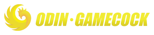 Odin Gaming
